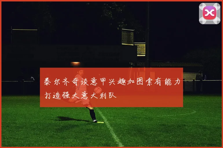 泰尔齐奇谈意甲兴趣加图索有能力打造强大意大利队