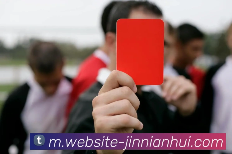 今年会官网平台生态图